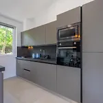 Insa